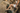 Adley 3|hero_img