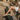 Adley 3|hero_img