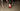 Gianna 3|hero_img
