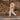Evita 1|hero_img