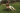 Clive 30|hero_img