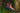 Zoran 3|hero_img