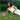 Eglantine 1|model
