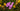 Eglantine 1|hero_img