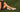 Adley 24|hero_img