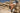 Jaxson 1|hero_img