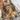 Blaise|hero_prt